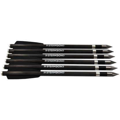 AR-Series – Carbonpfeile, schwere Bodkinpfeile