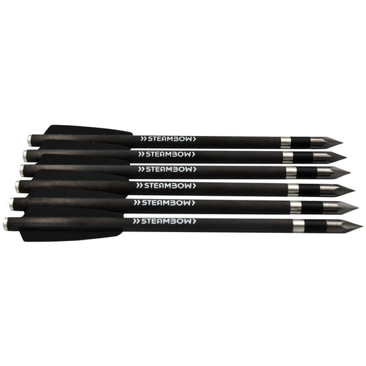 AR-Series – Carbonpfeile, schwere Bodkinpfeile